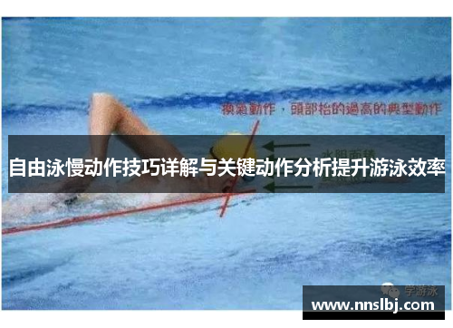 自由泳慢动作技巧详解与关键动作分析提升游泳效率