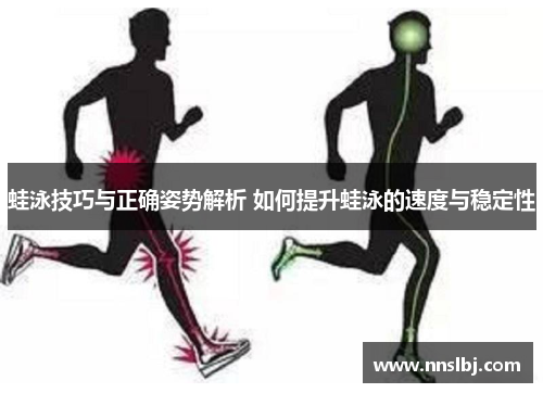 蛙泳技巧与正确姿势解析 如何提升蛙泳的速度与稳定性