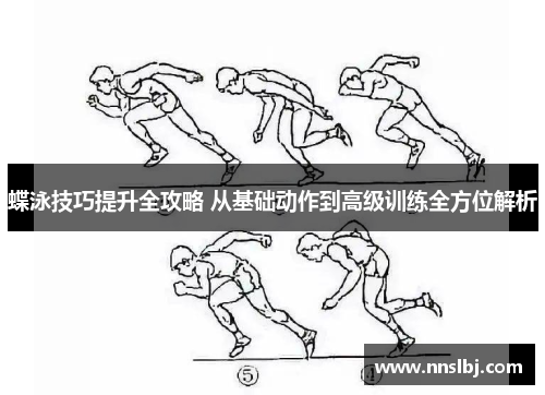 蝶泳技巧提升全攻略 从基础动作到高级训练全方位解析